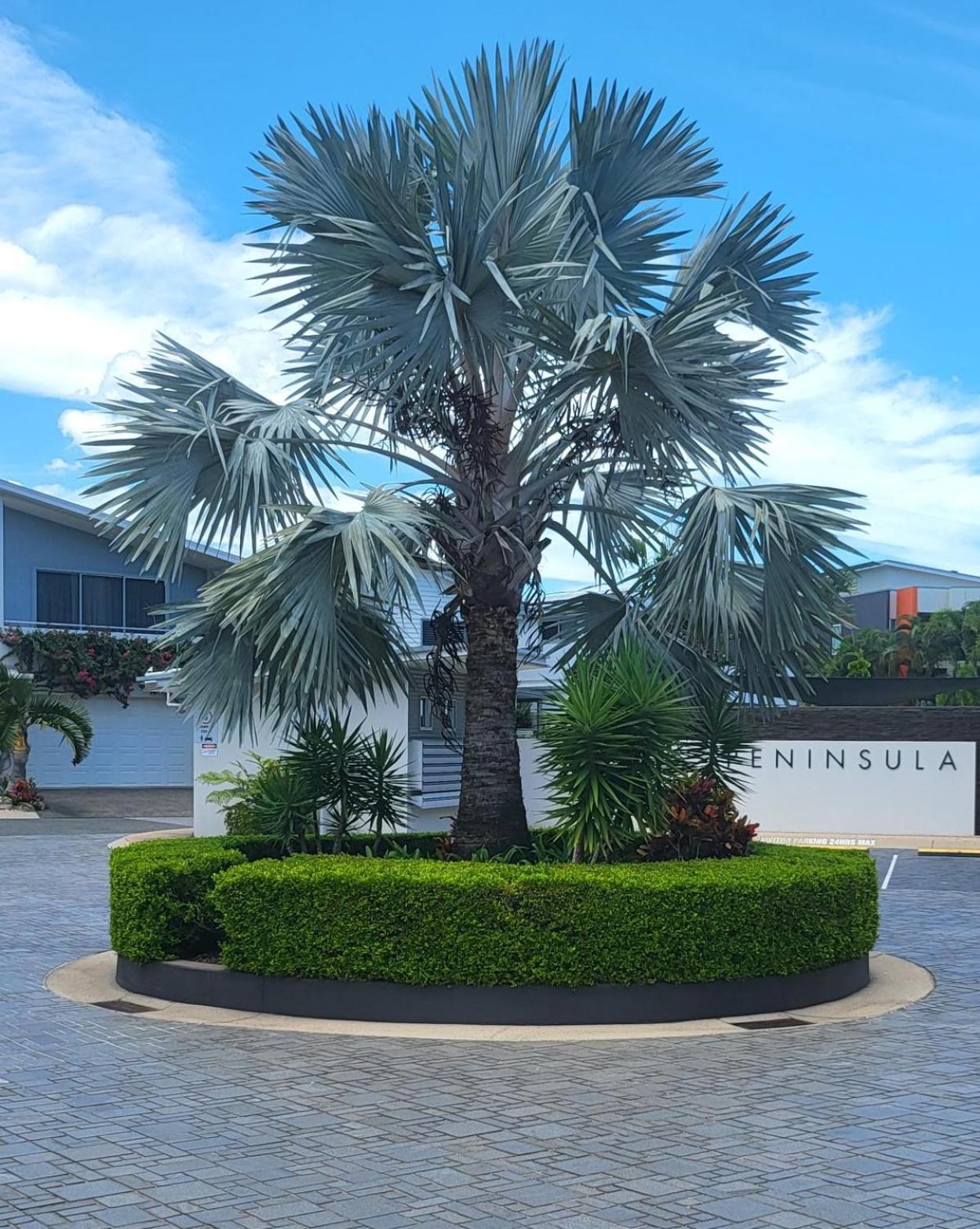 Peninsula Airlie Beach Buitenkant foto